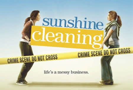 sunshine-cleaning