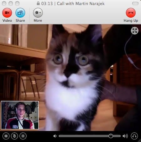 Robert skyped sich mit einer Katze einen Sneakpod zusammen.