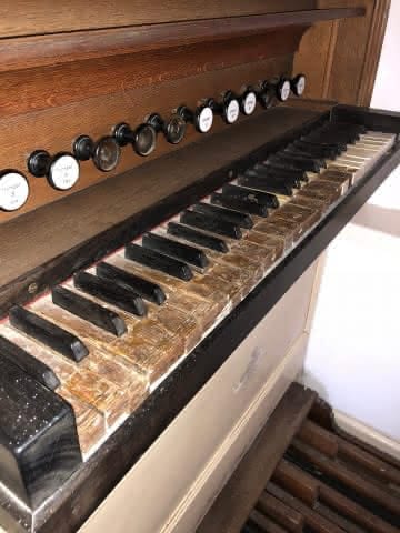 Orgel